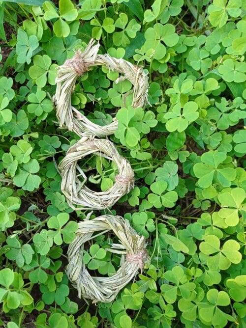 Timothy Ring - Image 2