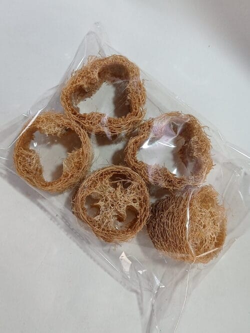 Natural Loofah Chew Toy - Image 2