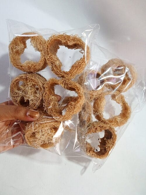 Natural Loofah Chew Toy