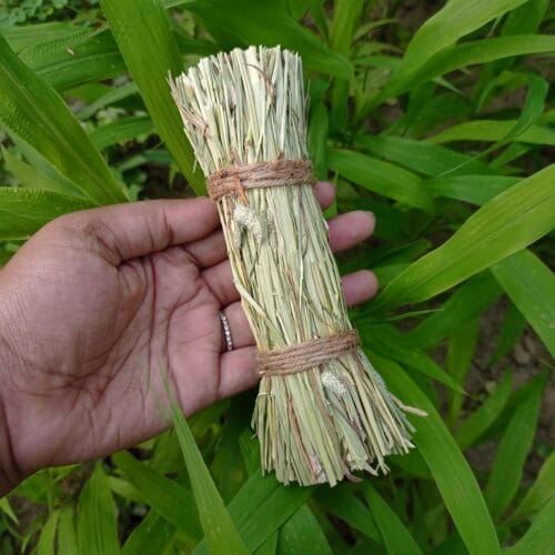 Log Toy
