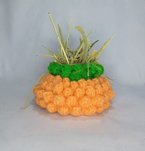Bunny Pineapple Treat Bag