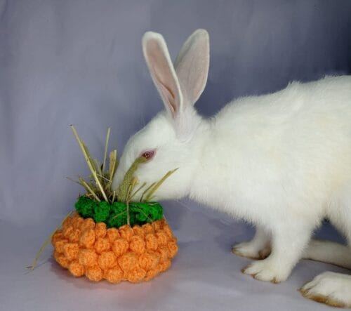 Bunny Pineapple Treat Bag - Image 2