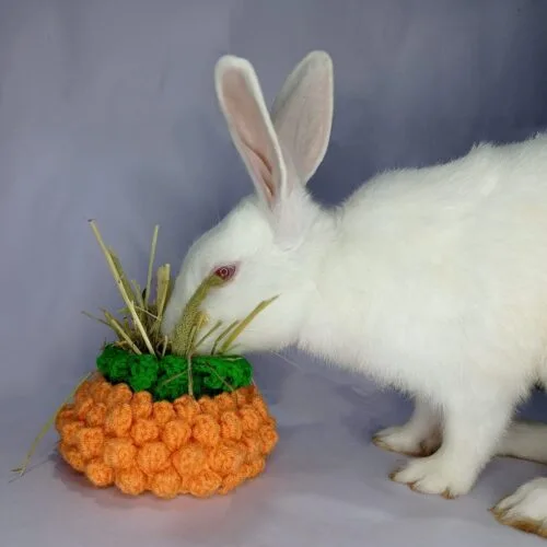 Bunny Pineapple Treat Bag