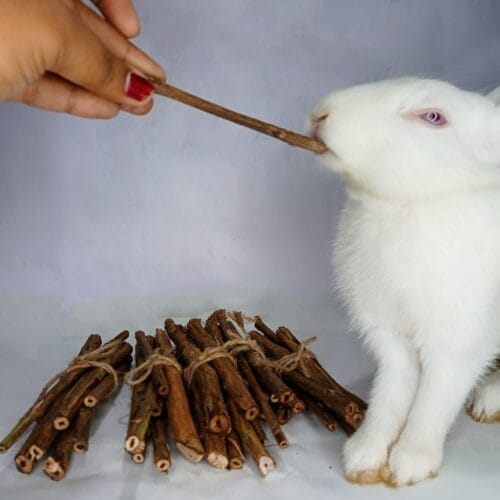 Organic Guava Sticks Pet Chew Toy for Rabbits/Guinea Pigs- set of 7 Sticks