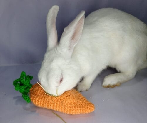 Carrot Hay Roller - Image 2