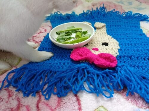 Woolen Bunny Mat for Multi Purpose use - Image 6