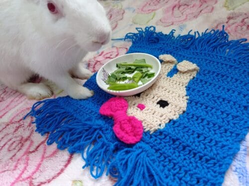 Woolen Bunny Mat for Multi Purpose use - Image 5