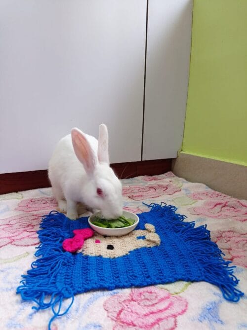 Woolen Bunny Mat for Multi Purpose use - Image 4