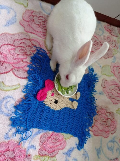 Woolen Bunny Mat for Multi Purpose use - Image 3