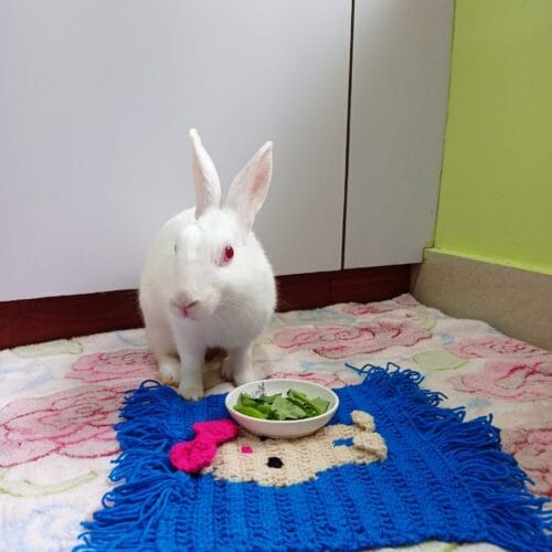 Woolen Bunny Mat for Multi Purpose use