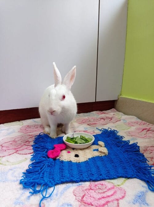 Woolen Bunny Mat for Multi Purpose use