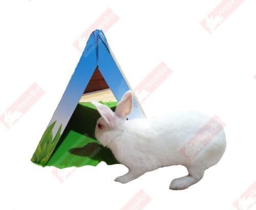Petstages Fold Away Scratching Tunnel Toy - Image 5