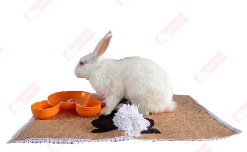 Jute Mat Placemat, Pet Mat, Rabbit Lover Gift