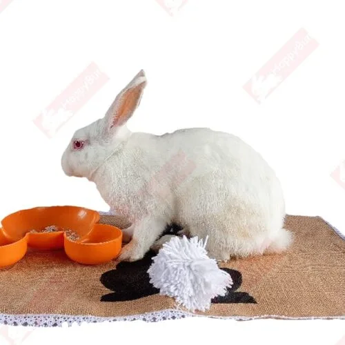 Jute Mat Placemat, Pet Mat, Rabbit Lover Gift