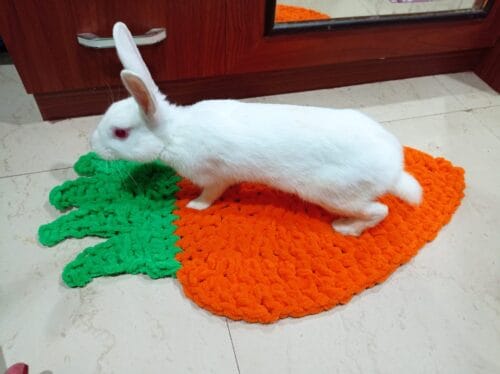 Carrot shape bed for rabbit and cats