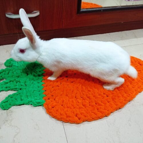 Carrot shape bed for rabbit and cats