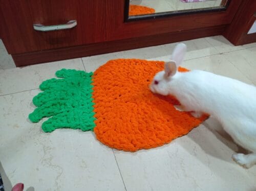 Carrot shape bed for rabbit and cats - Image 3