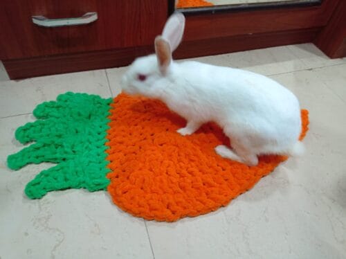 Carrot shape bed for rabbit and cats - Image 2