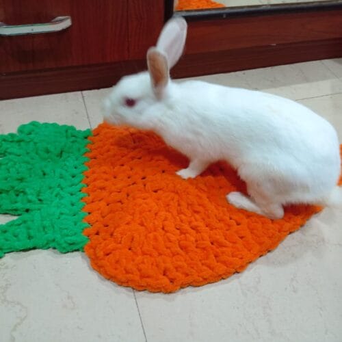 Carrot shape bed for rabbit and cats