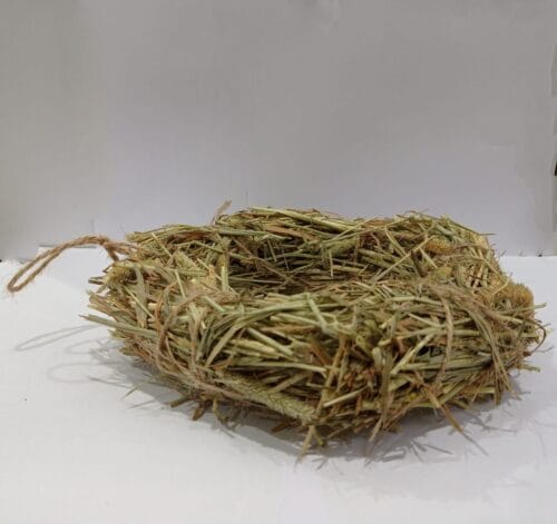 Timothy Hay Enrinching Ring Rabbit/Guinea Pig Toy - Image 3