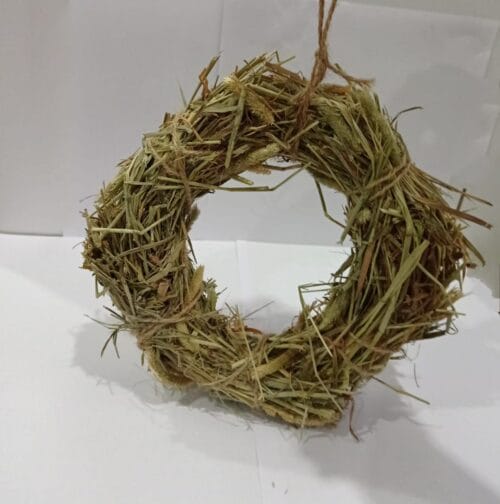 Timothy Hay Enrinching Ring Rabbit/Guinea Pig Toy