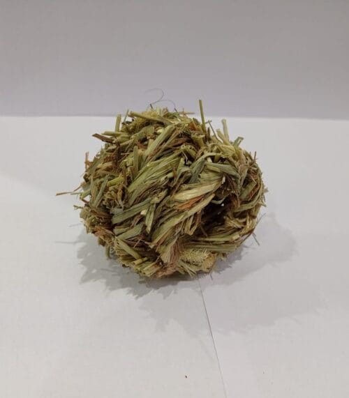 Timothy Ball - Image 3
