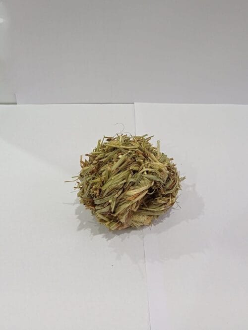 Timothy Ball - Image 2