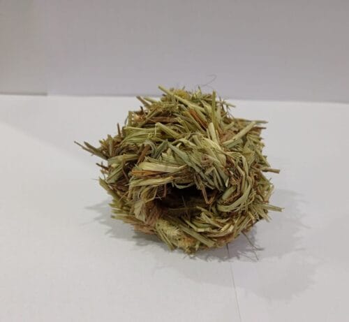 Timothy Ball - Image 4