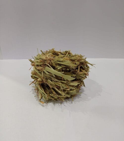 Timothy Ball - Image 7