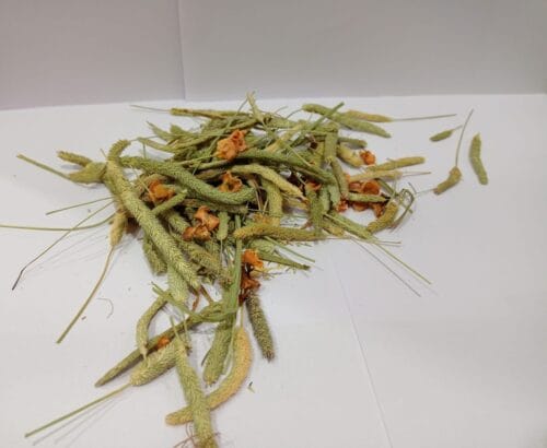 Timothy Seed Heads with carrot - Image 2