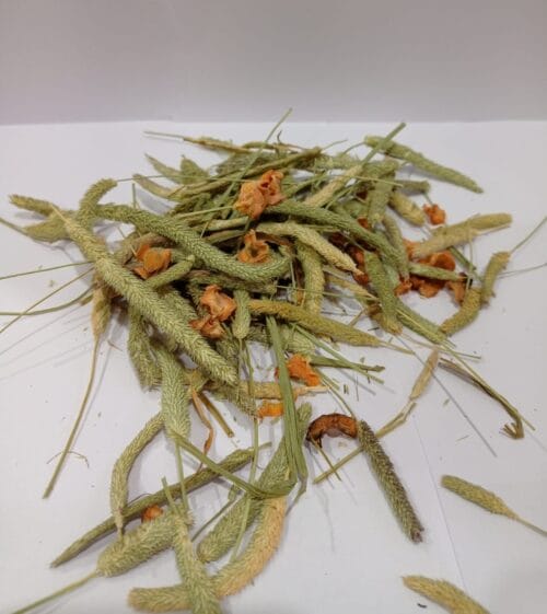 Timothy Seed Heads with carrot