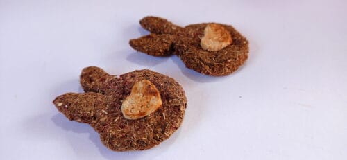 Bunny Shaped Cookie Pack of 2