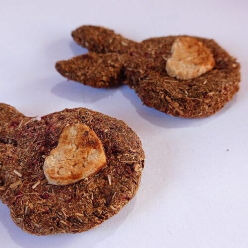 Bunny Shaped Cookie Pack of 2