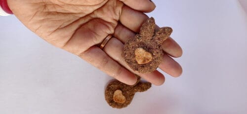 Bunny Shaped Cookie Pack of 2 - Image 2