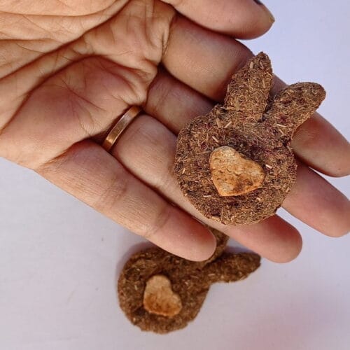 Bunny Shaped Cookie Pack of 2