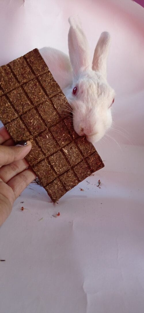 Chocolate Bar