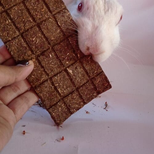 Chocolate Bar