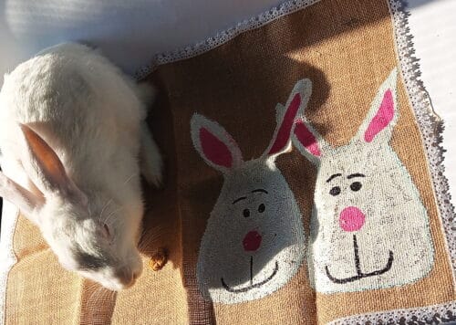 Love Bunnies Hand painted Jute Mat - Image 4