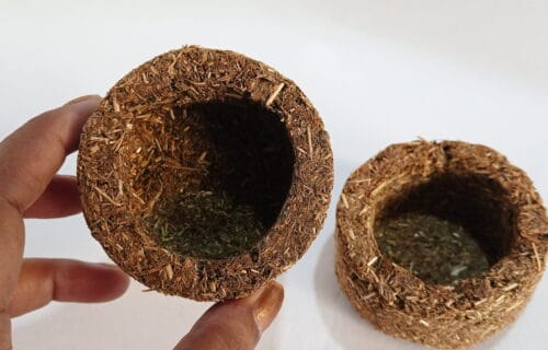 Timothy Hay Cups 1pc - Image 2