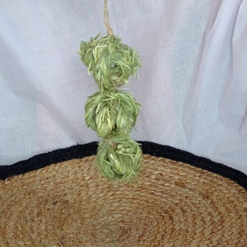 Hanging Timothy ball Toy