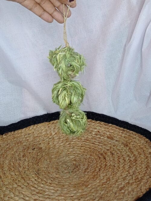 Hanging Timothy ball Toy - Image 2