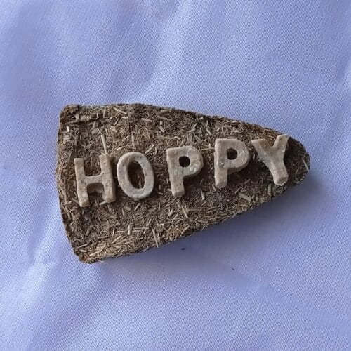 HOPPY PIZZA
