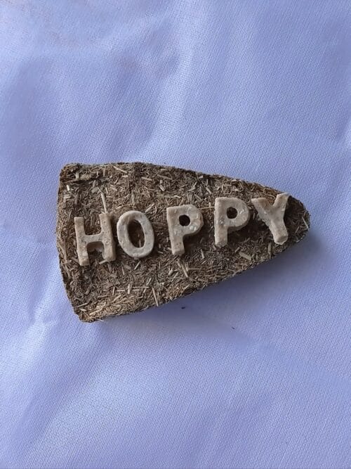 HOPPY PIZZA - Image 2