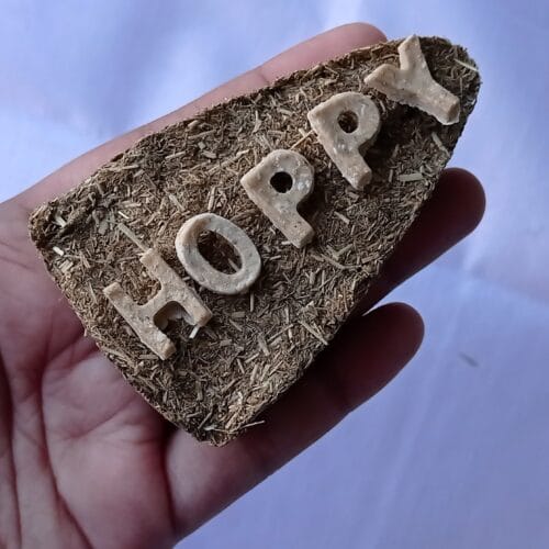 HOPPY PIZZA