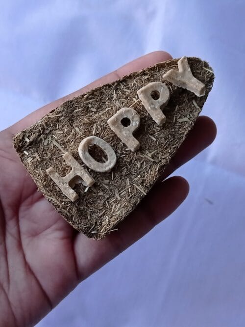 HOPPY PIZZA