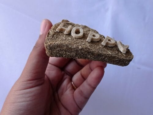 HOPPY PIZZA - Image 4
