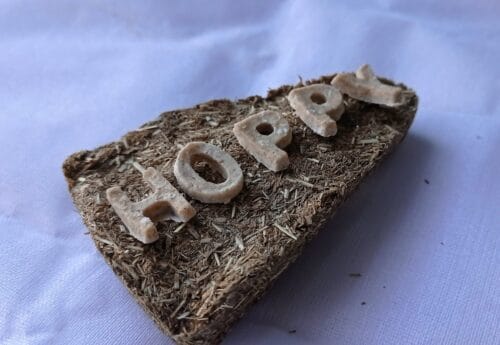 HOPPY PIZZA - Image 7