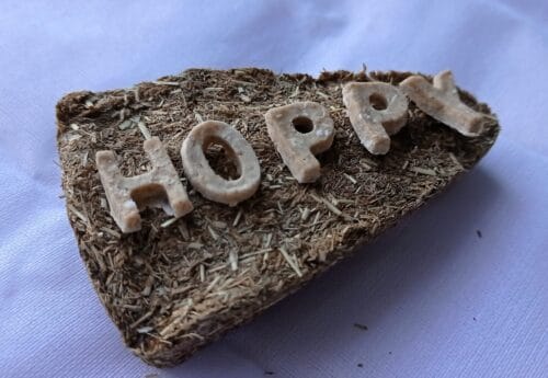 HOPPY PIZZA - Image 8