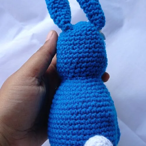 BLUE BUN GUY