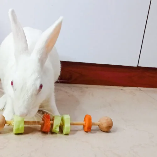 Woody Veggie Feeder